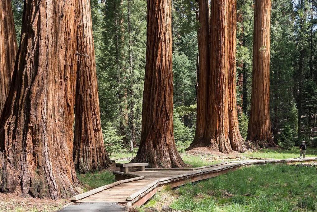 Sequoia Cabin By The River Three Rivers Extérieur photo