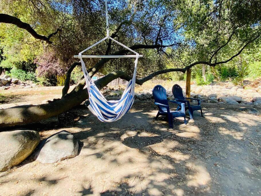 Sequoia Cabin By The River Three Rivers Extérieur photo