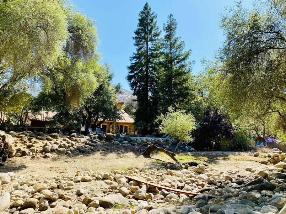 Sequoia Cabin By The River Three Rivers Extérieur photo