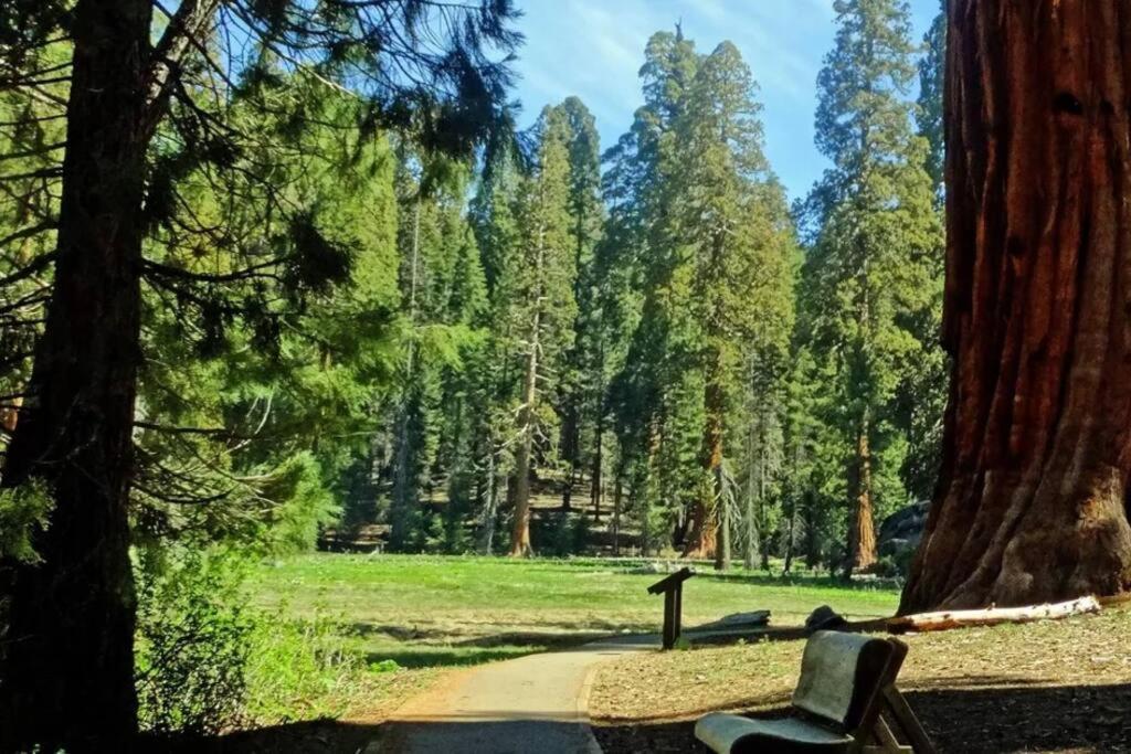 Sequoia Cabin By The River Three Rivers Extérieur photo