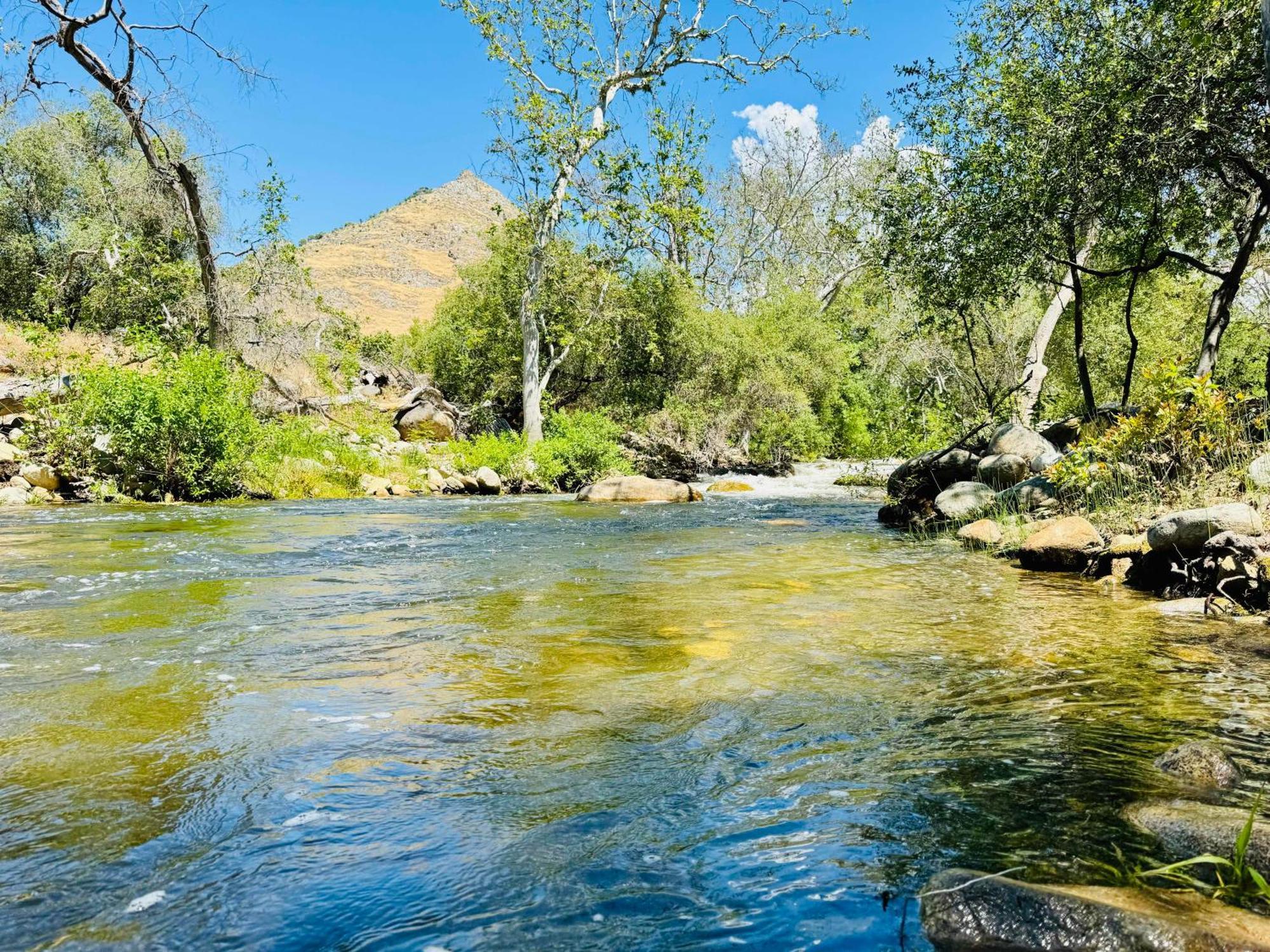 Sequoia Cabin By The River Three Rivers Extérieur photo